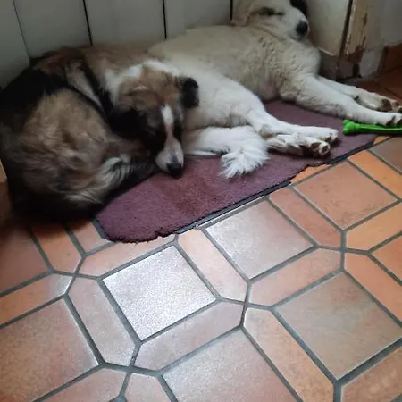 فندق مبيت وإفطار Le Pas Sage