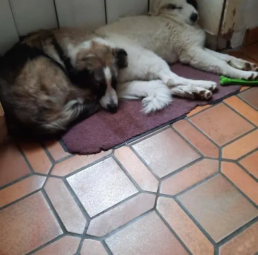 Bed and breakfast Le Pas Sage