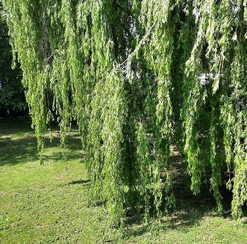 Bed and breakfast Le Pas Sage La Caillère